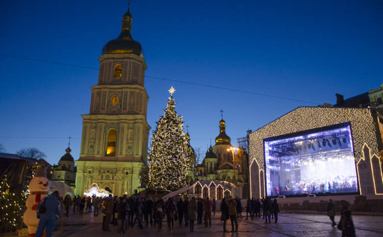 В Киеве установили главную елку страны (фото)