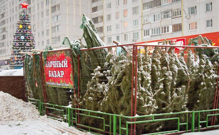 В Киеве будут работать 100 елочных базаров