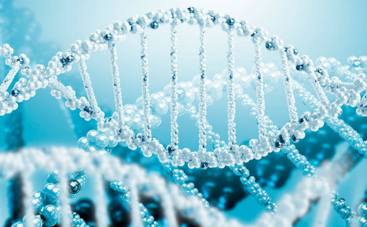 Ученые создадут генетически модифицированных людей