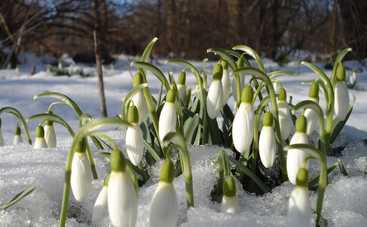 Весна в Украине начнется с сильного потепления