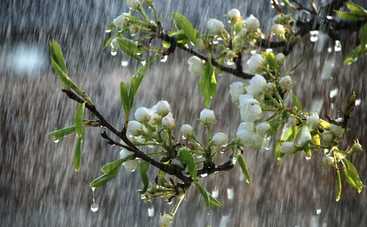 Сегодня в Украине местами будет мокро