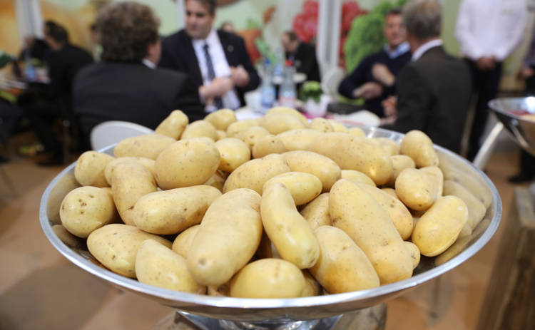 Ученые доказали, что на Марсе можно выращивать картофель