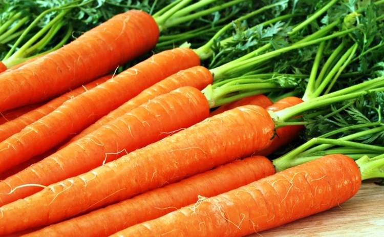 Все буде смачно: 10 лучших блюд из моркови - часть 1 (эфир от 25.03.2017)