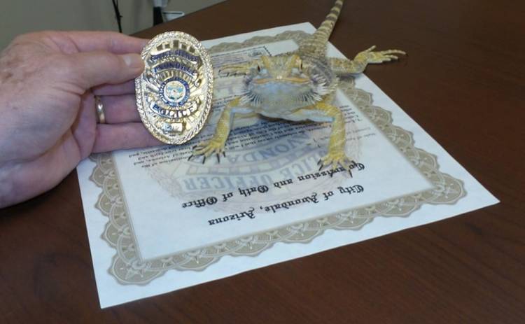 На службу в полицию США призвали ящерицу (фото)