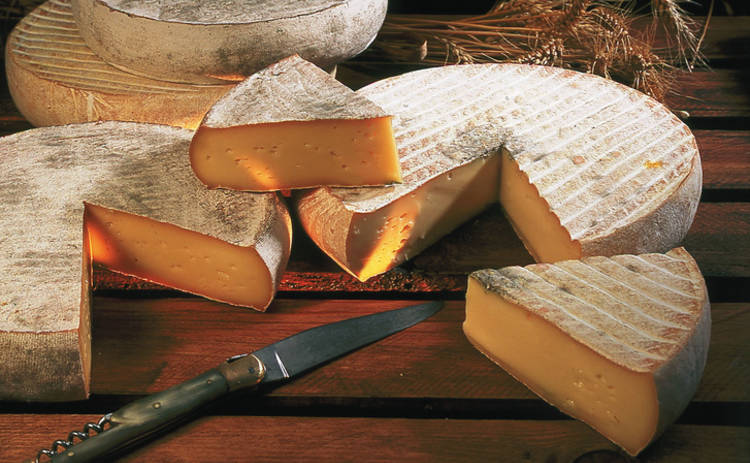В Швейцарии нашли съедобный сыр со 142-летней выдержкой