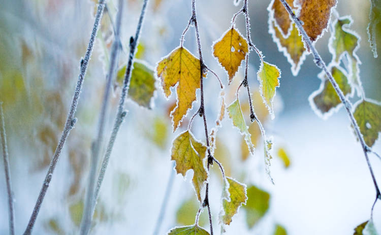 Погода порадует украинцев осенней прохладой и новыми заморозками