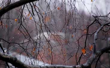 Сегодня в Украине будет холодно, местами дожди