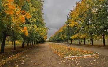 В последний день октября погода не будет радовать украинцев