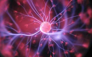 Ученые научились восстанавливать нервные клетки