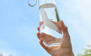 Почему воду лучше покупать в стеклянной бутылке?
