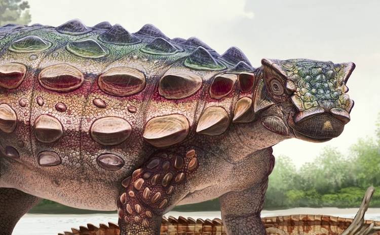 В США обнаружили новый вид динозавра