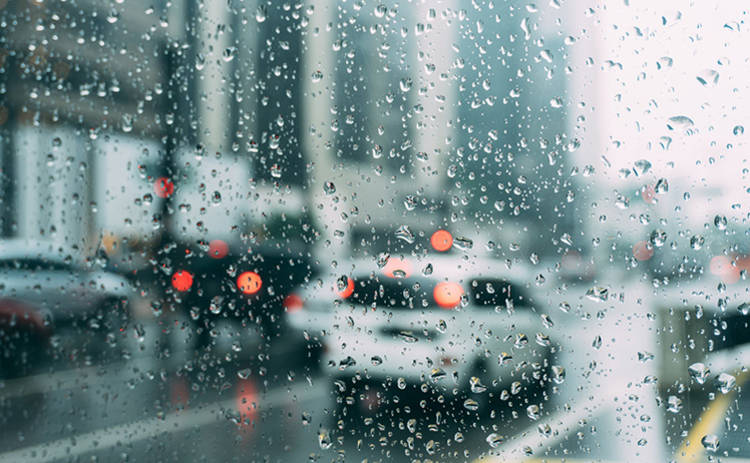 Управление машиной во время дождя: как избежать аварии