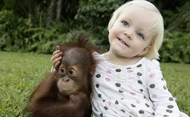Синхронные движения детей и шимпанзе: в чем кроется секрет