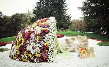 5 причин посетить осеннюю выставку хризантем в Киеве