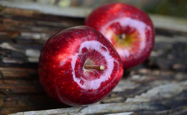 Как яблоки влияют на наш организм: полезные свойства фрукта