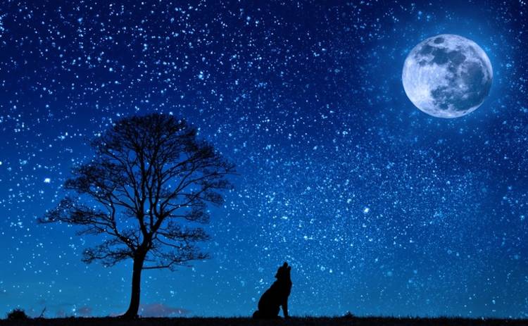 Лунный гороскоп на 13 марта 2019 года для всех знаков Зодиака