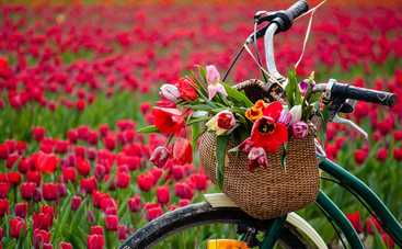 Астрологи рассказали, каким знакам Зодиака повезет в апреле 2019 года