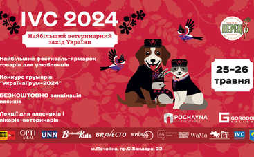 IVC 2024: наукова конференція, фестиваль грумінгу та ярмарок товарів для тварин