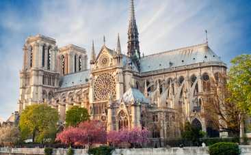 Собор Парижской Богоматери: восставший из пепла